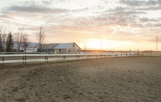 beautiful equestrian property with large fields